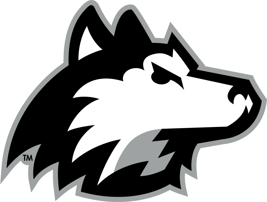Northern Illinois Huskies 2001-Pres Secondary Logo diy iron on heat transfer